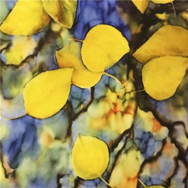 Pura sericum fabricae